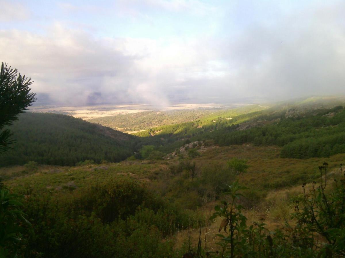 Las Pinoneras Tortoles Buitenkant foto